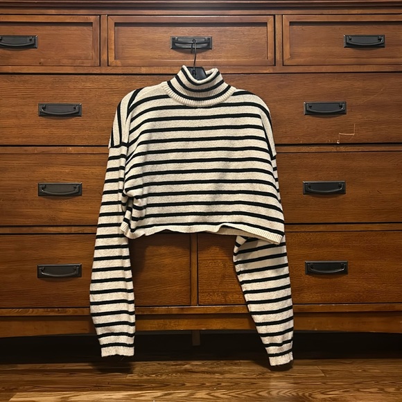 Cropped Striped Cider Turtleneck - Picture 1 of 2